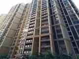 公明村委統建樓：蔣石花園帶管道天然氣