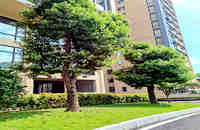 鳳崗小產(chǎn)權(quán)房買(mǎi)賣(mài):鳳崗花園5棟花園小區(qū)房